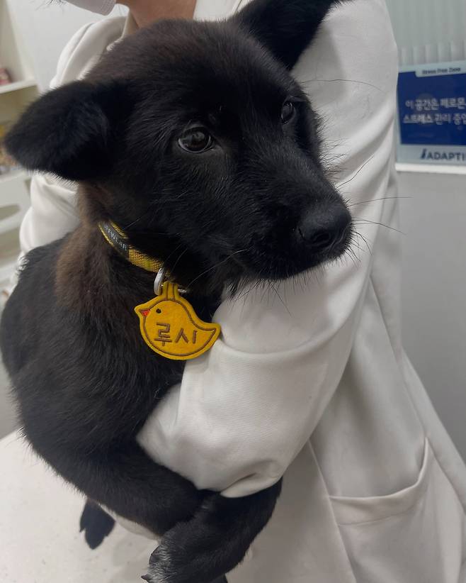 딸 아이의 품에 폭 안긴 루시(인스타그램 chewwwy.lucy 제공) ⓒ 뉴스1