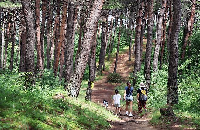 루시와 함께한 트레킹(인스타그램 chewwwy.lucy 제공) ⓒ 뉴스1