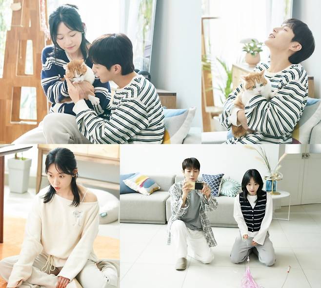 tvN 단편 드라마 ‘냥육권 전쟁’이 이혼 위기에 놓인 윤두준과 김슬기의 달달했던 과거를 공개했다. ‘냥육권 전쟁’은 이혼을 앞둔 부부가 반려묘 ‘노리’의 양육권을 두고 다투는 이야기다. 공개된 스틸에는 두 사람이 반려묘 노리를 처음 입양하고, 함께 행복한 시간을 보내는 모습이 담겨있다. 윤두준은 고양이를 품에 안고 행복한 미소를 짓고, 김슬기는 장난감을 흔들며 즐거워하는 등 꿀 떨어지는 신혼의 모습을 보여주었다. 이처럼 행복했던 두 사람이 왜 이혼을 결심하게 되었는지, 고양이의 양육권은 누구에게 돌아갈지 궁금증을 자아낸다.
