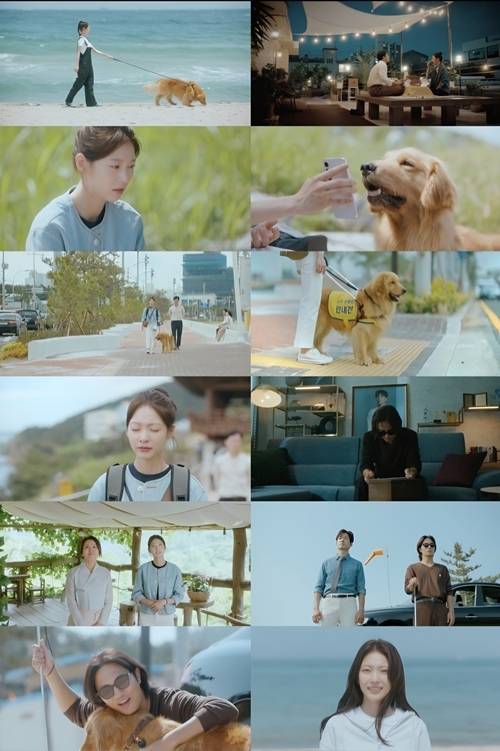 배우 진구가 안내견 지니와 함께한 가슴 아픈 사연을 드러내며 시청자들의 눈물샘을 자극했다. 사진=여행을 대신해드립니다