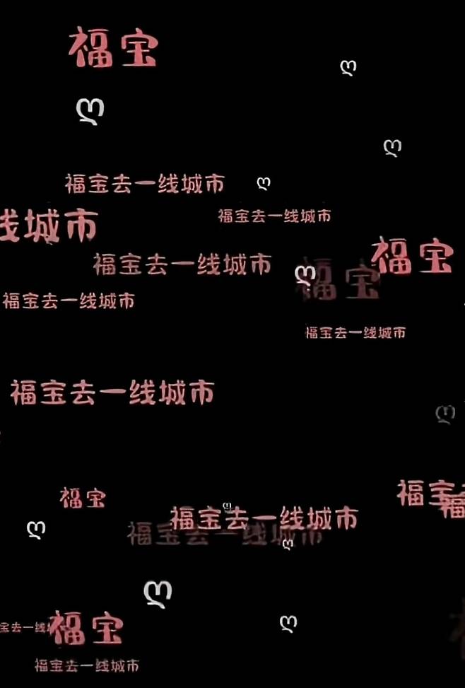 쌍둥이가 걸어갈 운명의 길, 그 바로미터가 될 맏언니 푸바오의 환경개선을 촉구하는 중국팬의 텍스트 영상