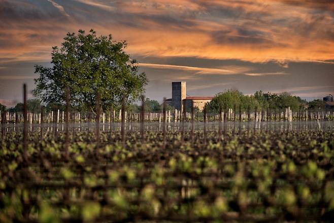 토레셀라 와이너리 전경. 홈페이지