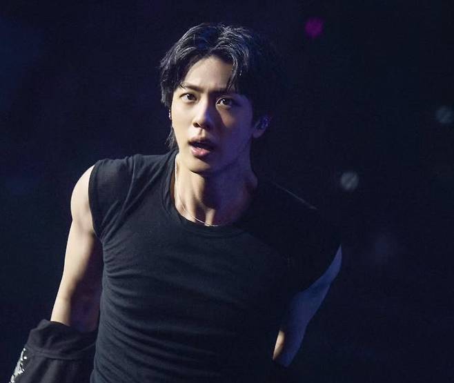 '월드투어 全공연 ALL매진' 방탄소년단 진에게 쏟아진 찬사