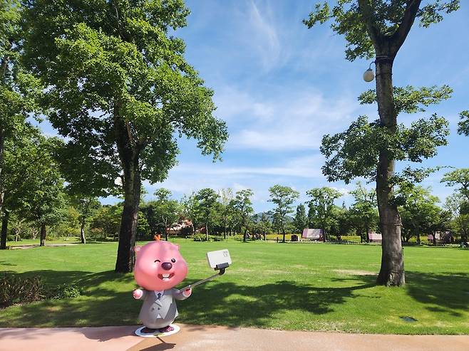 순천만국가정원 정원워케이션 잔디광장(위)과 메타세쿼이아길에 조성된 잔망루피 포토존. <순천시 제공>