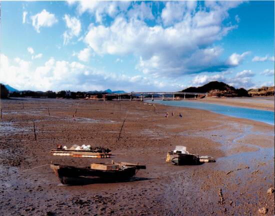 사천 9경중 하나인 비토갯벌