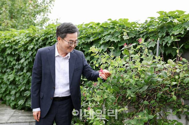 김동연 경기도지사가 공관 도담소에 핀 인동초를 들여다 보고 있다.(사진=김동연 경기도지사 페이스북)