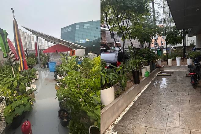 옥상과 주차장 모습. ('보배드림')