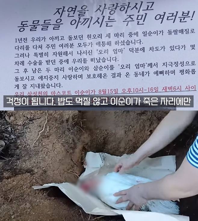 (유튜브 채널 '오리 엄마' 갈무리)