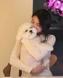 사진 | 송혜교 SNS
