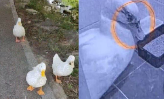 온라인 커뮤니티