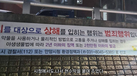 지난해 4월경 벌어진 학대 사건 이후 시청에서 부착한 현수막. 동물학대가 범죄 행위임을 분명히 명시하고 있다. (출처=유튜브 ‘오리 엄마’ 갈무리)