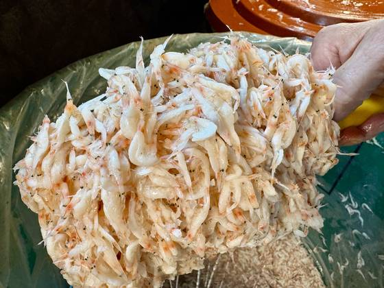 2025년 4월에 경매되어 3개월 동안 숙성된 오젓. [사진 박상현]