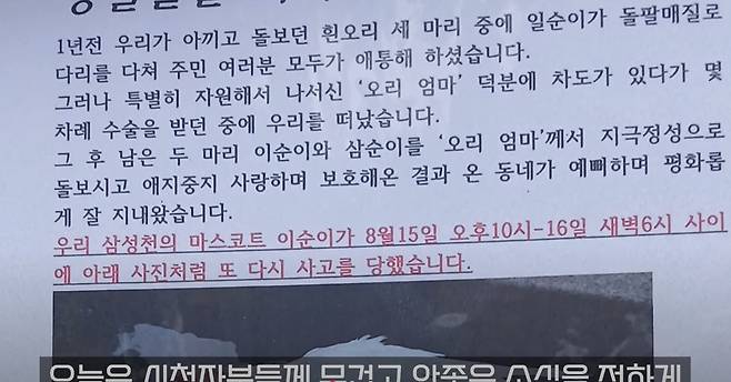 [유튜브 '오리 엄마']