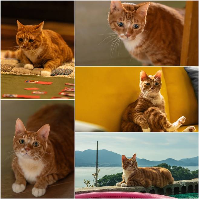 영화 '좀비딸' 스틸컷. NEW 제공