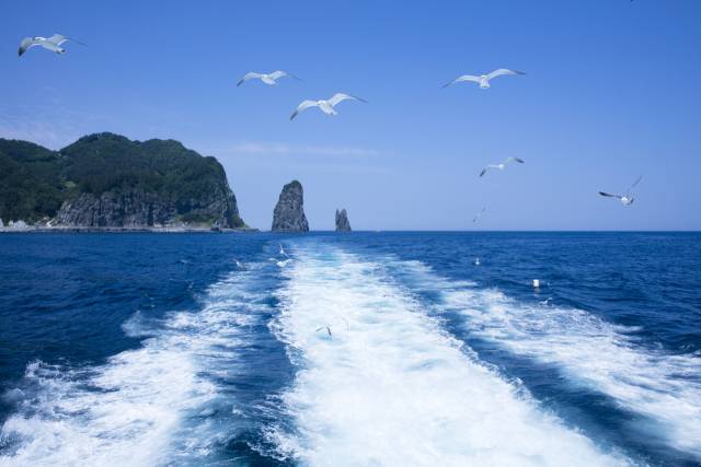 기사 이해를 돕기 위한 사진. 이미지투데이