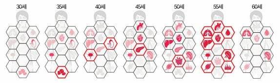 육각형은 장기를, 붉은 윤곽선은 노화 징후를 나타낸다. 40대 후반부터 여러 장기에서 노화가 빠르게 진행되고 55세 전후에는 심장, 폐, 간, 근육, 면역계 등 다양한 계통이 동시에 변화한다. Cell 제공