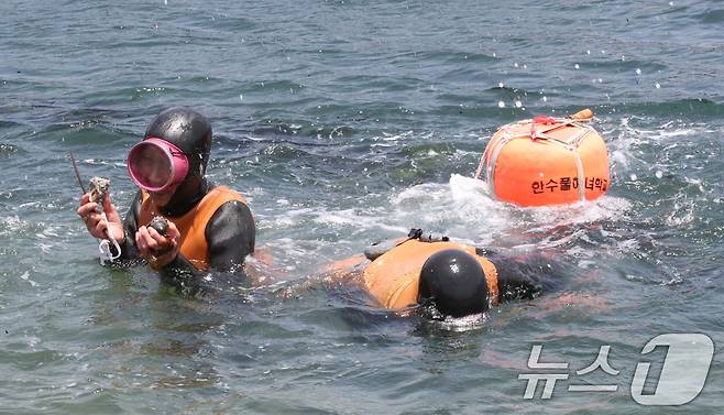 제주시 한림읍 귀덕2리 어촌계 인근 바다에서 70여 년 해녀 생활을 마무리하는 김유생(92), 강두교(91) 어르신이 마지막 물질을 하고 있다. 2024.5.25/뉴스1 ⓒ News1 오현지 기자
