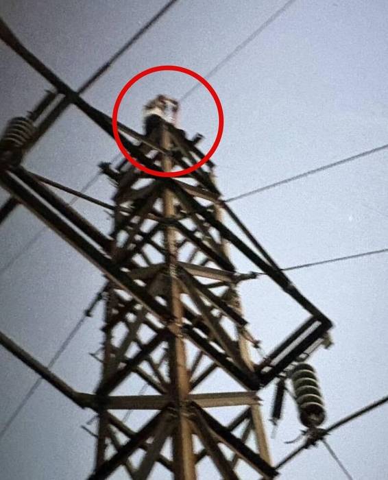 지난 14일 오후 대만 신베이시 슈린구 다퉁산의 한 송전탑에 올랐다 감전사한 20대 남성 A씨. 여자친구 휴대전화에 마지막 모습. 사진=타이베이타임스 캡처