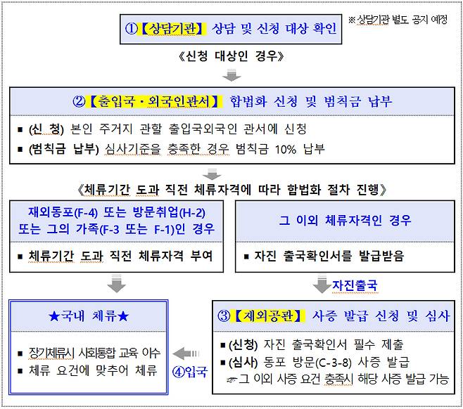 동포 특별 합법화 절차 [자료=법무부]