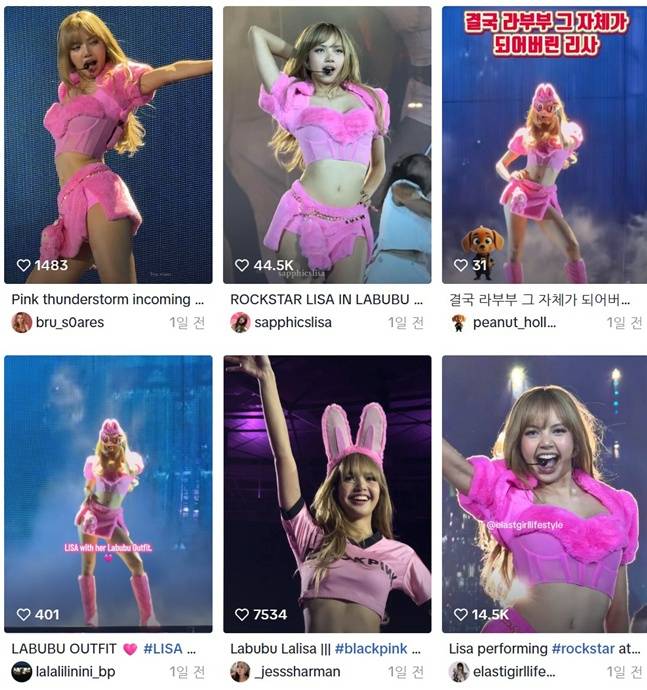 /사진= 리사의 라부부 의상을 올린 틱톡 계정들 모음