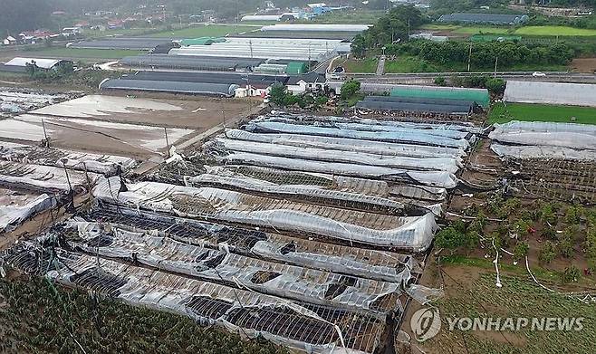 산청 집중호우 여파…딸기 비닐하우스 파손 [경남도 제공. 재판매 및 DB 금지]
