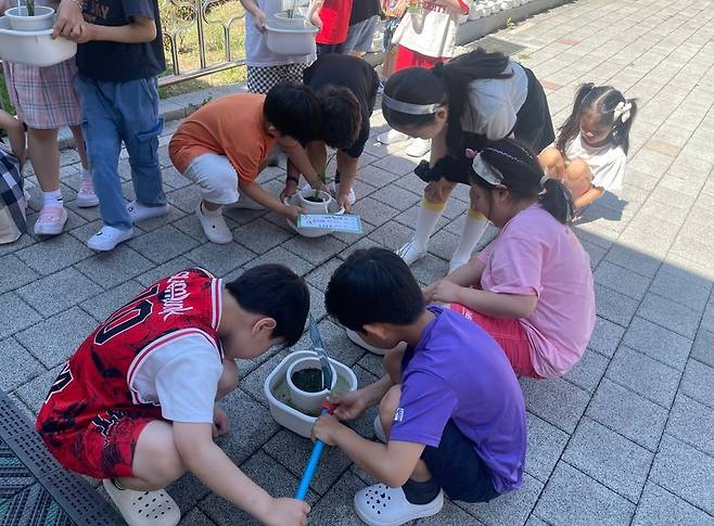 ▲ 성남 복정초등학교 학생들이 직접 기른 농작물을 돌보고 있다.&nbsp;/사진제공=성남 복정초등학교