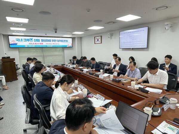 국내 크루즈 산업 활성화를 위한 정책토론회가 20일 오후 국회 의원회관 제11간담회실에서 열리고 있다. /김두천 기자