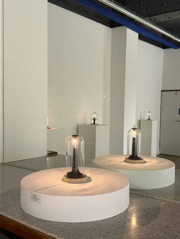 신원백 개인전 '인공생명의 숨'에 전시된 전도성 재료와 빛을 활용한 설치 작품으로, 마치 살아 숨 쉬는 듯한 생명의 형상을 구현해 관람객들의 주목을 받았다.