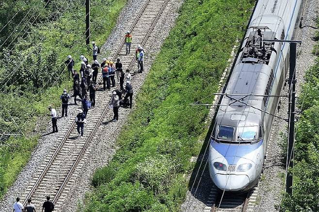19일 경북 청도군 화양읍 삼신리 청도소싸움 경기장 인근 경부선 철로에서 코레일 등 관계자들이 사고가 난 선로를 조사하고 있다. (사진=연합뉴스)