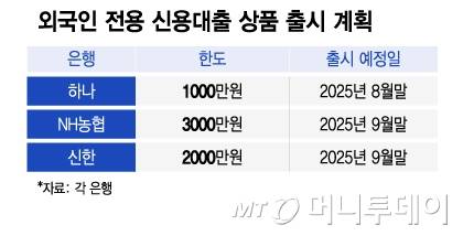 외국인 전용 신용대출 상품 출시 계획/그래픽=이지혜