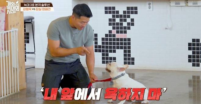 채널A 반려견 솔루션 예능 ‘개와 늑대의 시간’