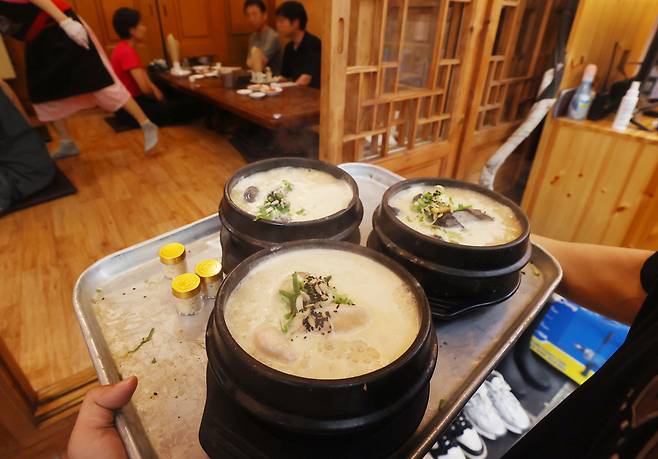 중복을 하루 앞둔 지난달 29일 서울 시내의 한 삼계탕집에서 직원이 삼계탕을 서빙하고 있는 모습. 연합뉴스