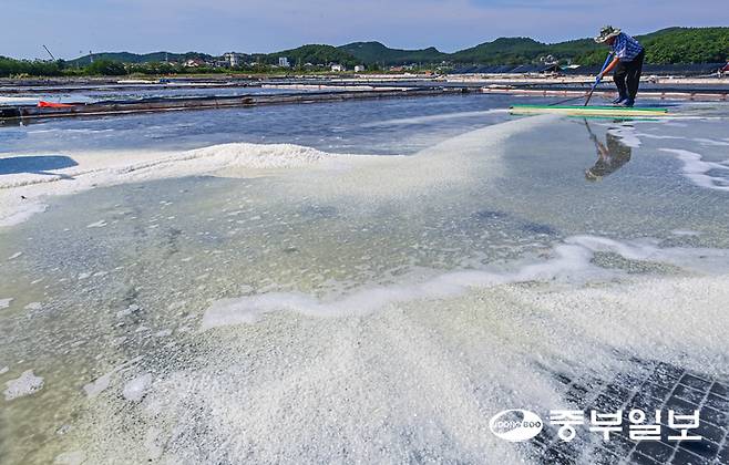 처서를 이틀 앞둔 21일 오후 안산시 단원구 동부염전에서 염부들이 연이은 폭염으로 생산량이 늘어난 천일염을 수확하며 구슬땀을 흘리고 있다. 임채운기자