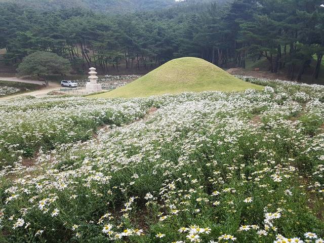 경주국립공원 선도산지구 고분과 서악동 삼층석탑.