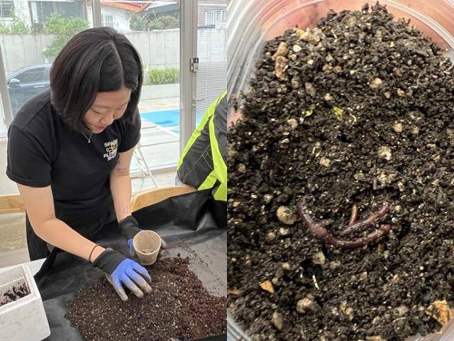 일러스트 작가 김지원씨가 정성스럽게 기른 지렁이를 분양하고 있다(왼쪽 사진). 분양을 앞둔 지렁이의 모습. 고은경 기자