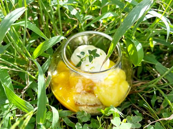 더위가 기승을 부리는 요즘, 휴양지에 온 듯한 기분이 들게 해주는 이그조틱 베린느를 추천한다. 사진 안미연