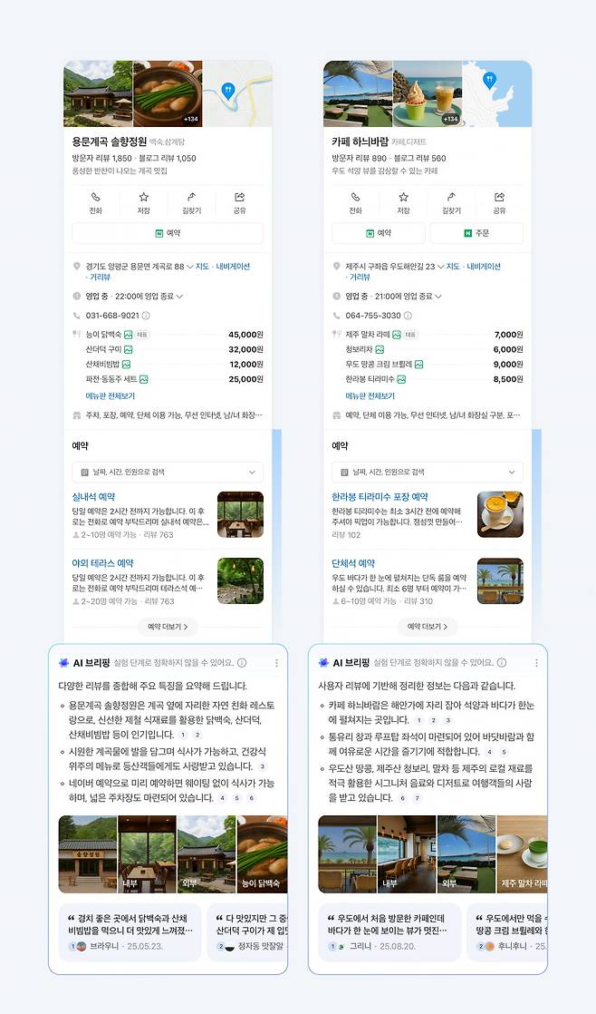 네이버 플레이스 AI 브리핑 예시 화면. 사진=네이버 제공