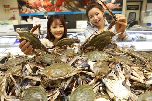 서해안 꽃게 금어기 풀린다…롯데마트 판매 개시 [롯데마트 제공. 재판매 및 DB금지]