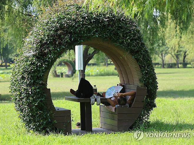 폭염엔 그늘이 최고 [연합뉴스 자료사진]