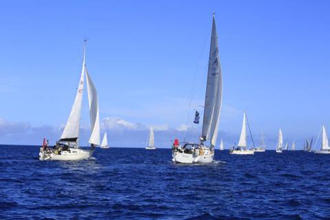 요트들이 푸른 바다 위를 달리고 있다. 김영애 제공