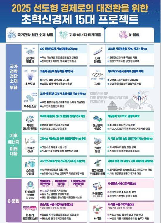 초혁신경제 15대 선도프로젝트 인포메이션. ⓒ기획재정부