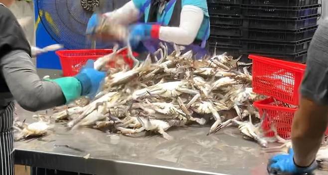 조업을 마치고 포장 작업에 들어가는 장면.  /이마트 제공