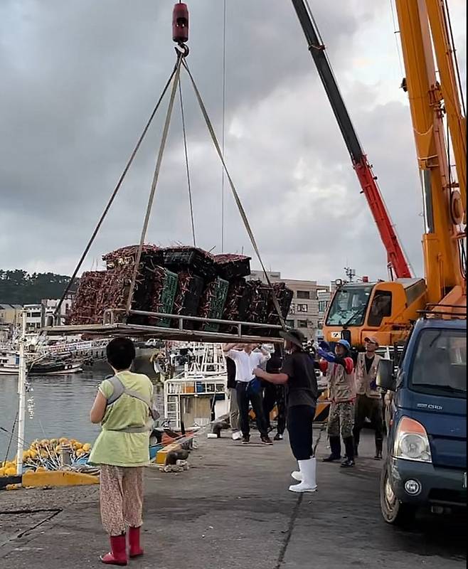 항구로 들어오는 꽃게들.  /이마트 제공