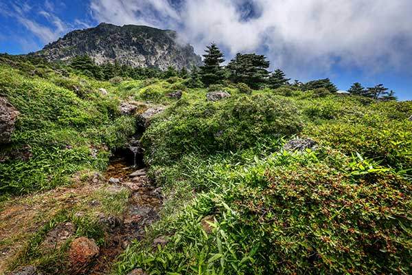 1970년 한라산국립공원 지정 후 55년 만에 처음 공개된 백록샘. GPS로 확인한 백록샘 고도는 1,657m. 샘 뒤로 한라산 남벽이 훤칠하게 솟고, 앞으로는 조릿대 초원이 펼쳐진다. 신청자에 한해 볼 수 있는 답사 산행 프로그램을 국가유산청과 한라산국립공원이 마련했다.