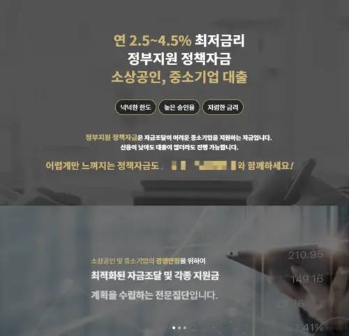허위 광고에 첨부된 링크에 접속하면 연결되는 민간 업체의 홈페이지. 소상공인과 중소기업이 정부 지원 정책자금을 받을 수 있도록 컨설팅을 제공한다고 소개하고 있다. /업체 홈페이지 캡처