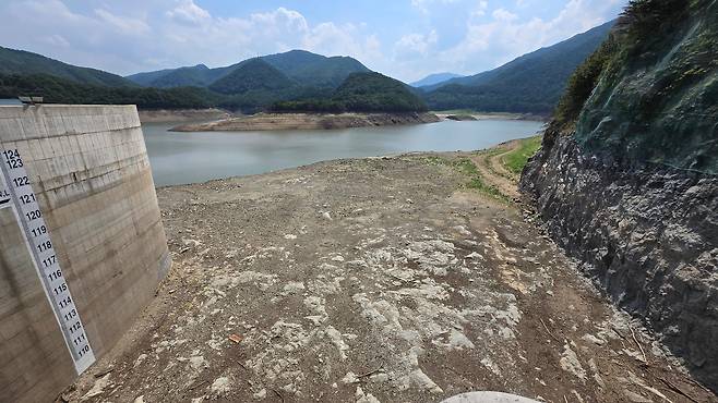 24일 극심한 가뭄으로 강원 강릉시 주요 상수원인 오봉저수지의 저수율이 17.8%(평년 69.0%)까지 떨어져 사상 최저치를 연일 갈아치우고 있다./연합뉴스