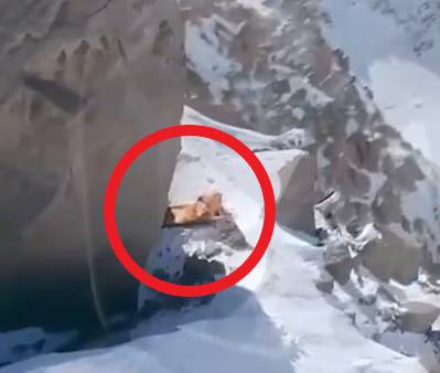 드론이 촬영한 나고비치나의 텐트 [텔레그램 캡처]