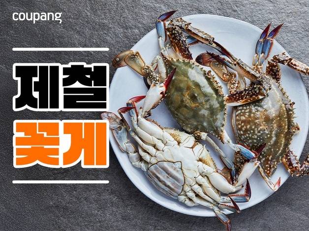 사진 제공=쿠팡
