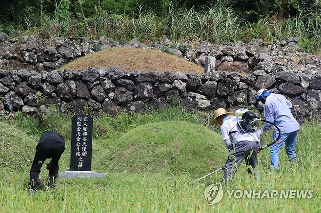 산담으로 둘러 싸인 제주 무덤 [연합뉴스 자료사진]