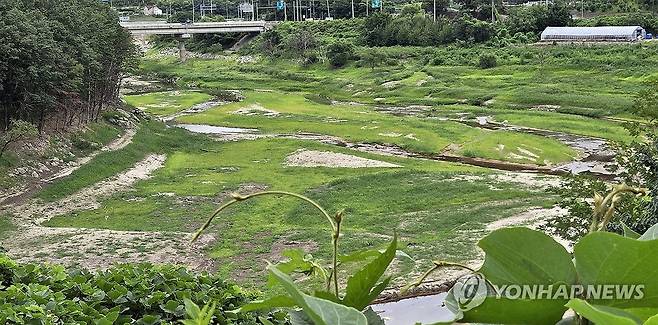 텅 빈 강릉시 상수원 [연합뉴스 자료사진]